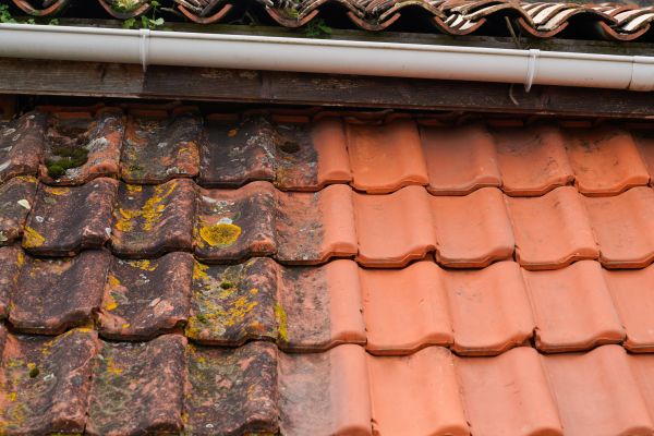 Industrial Roof Cleaning in Athens